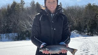 Football of a brook trout! #icefishing #trout #maineoutdooradventures