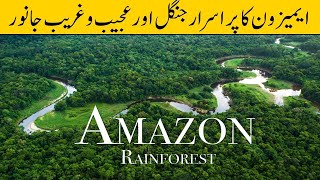 Duniya Ka Sabse Bara Jungle Amazon Rainforest | Facts About Amazon Rainforest | In Urdu | Farooq TV