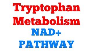 NAD pathway || Niacin formation || Tryptophan metabolism || #Biochemistry