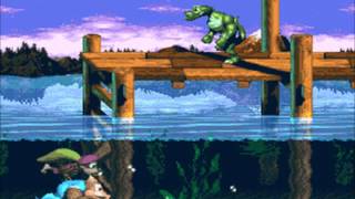 Donkey Kong Country 3 - Enchanted Riverbanks