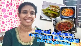 തിരക്കുള്ള വൈകുന്നേരം #meenachar #meencurry #ada |@kitchenupdatesbyjisha4606