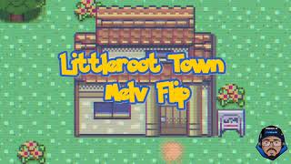 Pokemon Ruby/Sapphire Littleroot Town (Melv Flip) *Cell Vs Pichu Theme*