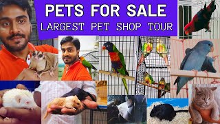 PETS FOR SALE -  EXOTIC  PETS  MARKET @ PETS CARNIVAL Cochin - KERALA - தமிழ்