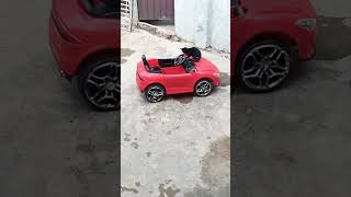 Cat playing with car