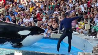 Найкращий парк у Флориді// Морський світ: Дельфіни, Касатки… SeaWorld Orlando,Florida