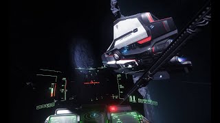 Low Fly Group, Star Citizen