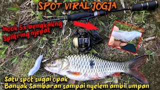 spot viral sugai opak Yogyakarta satu spot full sambaran