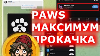 PAWS МАКСИМАЛЬНАЯ ПРОКАЧКА 💎