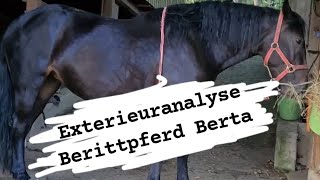 Exterieuranalyse - Reflexpunkte & Muskeltonus *TrickyHorse Trainingscenter*