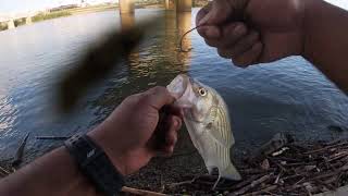 ohio river boy