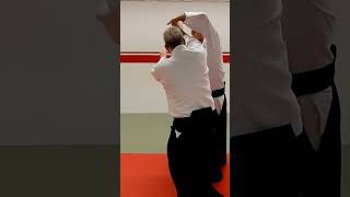 Aikido techniques on KUBISHIME, neck lock, by Stefan Stenudd