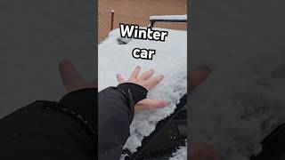 Winter car