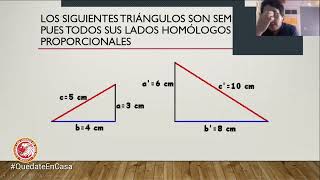 SEMEJANZA Y PROPORCIONALIDAD - MATEMÁTICAS Iº MEDIO