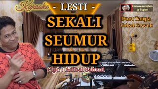 Karaoke SEKALI SEUMUR HIDUP | Lesti | Duet tanpa vokal cewek