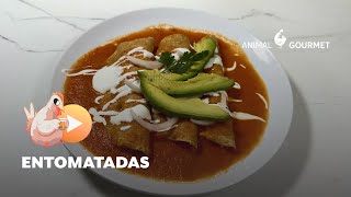 Receta de entomatadas con queso