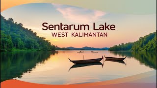 Sentarum Lake West Kalimantan