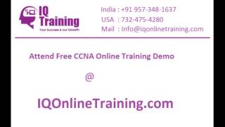 CCNA Online Training With Live Project