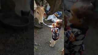 kid's short vidio cow vidio🥰😘#viralshort #viral #youtube #trending #tiktok #kids