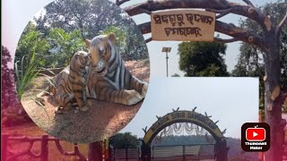 Boudh dist.Dambarugrad park🦥🐒🦘Forest area