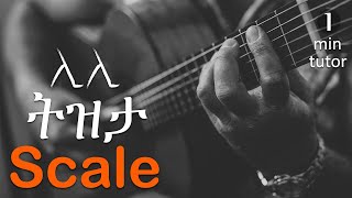 ትዝታ ቅኝት Tizita minor scale - Amharic Guitar lesson