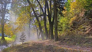 River and Trees Relaxing music