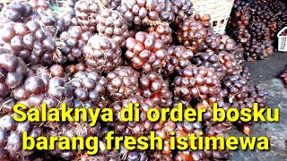 Salak Pondoh Banjarnegara Siap Meluncur Ke Negeri Seberang