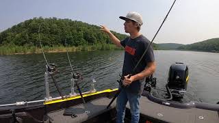 Walleye Trolling Rods (Planer Boards)