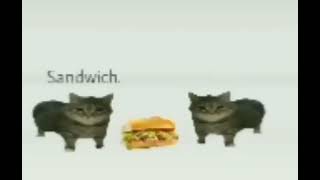 sandwich