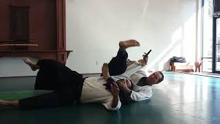 Aikido Changing Levels