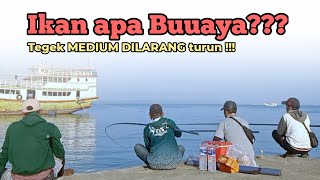 Baronang atau Buaya!!! Bikin Merinding Tarikannya