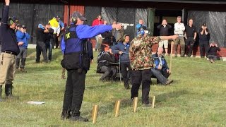 Pistol-SM, särskjutning guld fält VyC, 2016-07-07