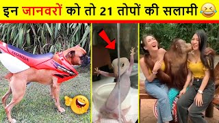 🤣 कहाँ से आते है ऐसे जानवर 😂 Funny Animal Videos 2022 | Funniest Cat Video Caught On Camera in Hindi