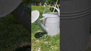 Big Watering Can  #entertainment  #trending  #viral  #garden #nature