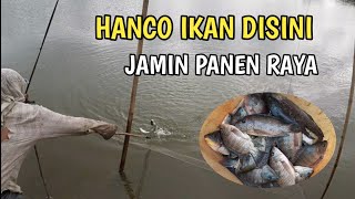 BRANJANG : INDONESIAN TRADITIONAL FISH CATCHING || Branjang ikan ||  Nangkul ikan || Net fishing