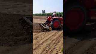 mahindra 265 performance on cultivator #agriculture #kisan #farmer #tractor #ganna #farming