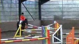 Show Jumping Rheidol Riding Centre 24/2/2008