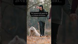 Nel #sussurro dei passi che avvicinano al #destino #cani #animali #aforismi #frasedelgiorno