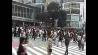 Shibuya crossing.