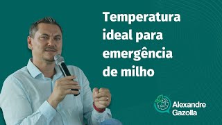 Alexandre Gazolla | Temperatura ideal para a emergência de milho