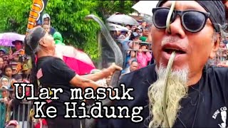 Ngeri....! Melihat Ular kobra dan Piton Di jadikan Atraksi || memory jaranan mayangkoro original