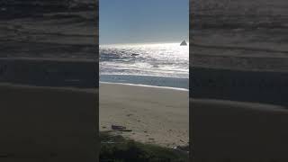 Beach and birds