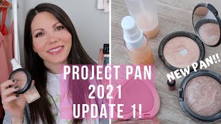 PROJECT PAN 2021!! UPDATE ONE - February!