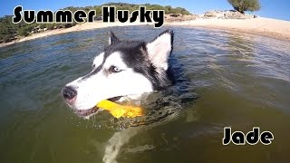 SUMMER HUSKY // VERANO JADE