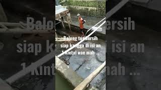 Balong siap kanggo mancing mah . . .