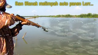 Maser ikan Blanak speed