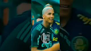 DEYVERSON PALMEIRAS STATUS (lomotifeSports) 🤙😉