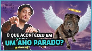 O que aconteceu em um ano parado?