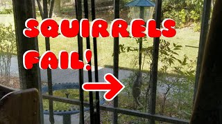 DIY Squirrel Proof Bird Feeder