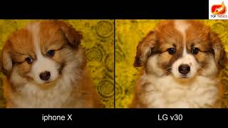 iphone X vs LG v30 Lowlight Camera Comparison