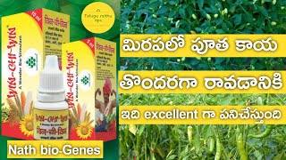 మిరపలో పూత తొందరగా రావడానికి best మందు |  win chi win Best flower stimulation for chilli in telugu